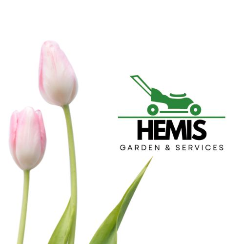 HEMIS GARDEN & SERVICES