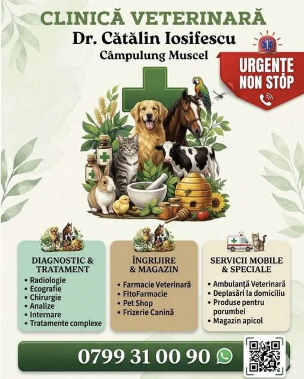 Clinica Veterinară Yosi-Vethelp