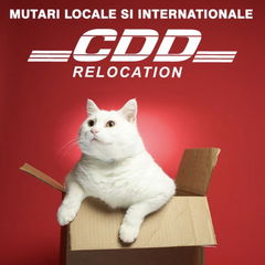 cdd-relocation-jpg-1763325332