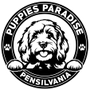 The Puppies Paradise