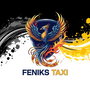 Feniks Website