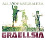 Graellsia