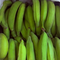 green512-png-1785991365