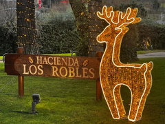 hacienda-los-robles-navidad-768x576-jpg-1778067583
