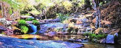 images-3-jpeg-1777980172
