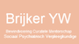 Y.W. Brijker Website