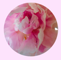 Changing Queens Website