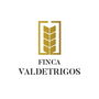 Finca Valdetrigos