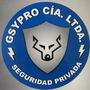 gsypro.com
