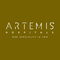 artemis-jpg-1752912969