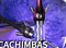 captura-de-pantalla-2025-09-12-a-las-17-24-28-png-1757690747