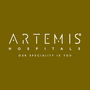 Artemis LP New