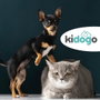 Kidogo Mascotas